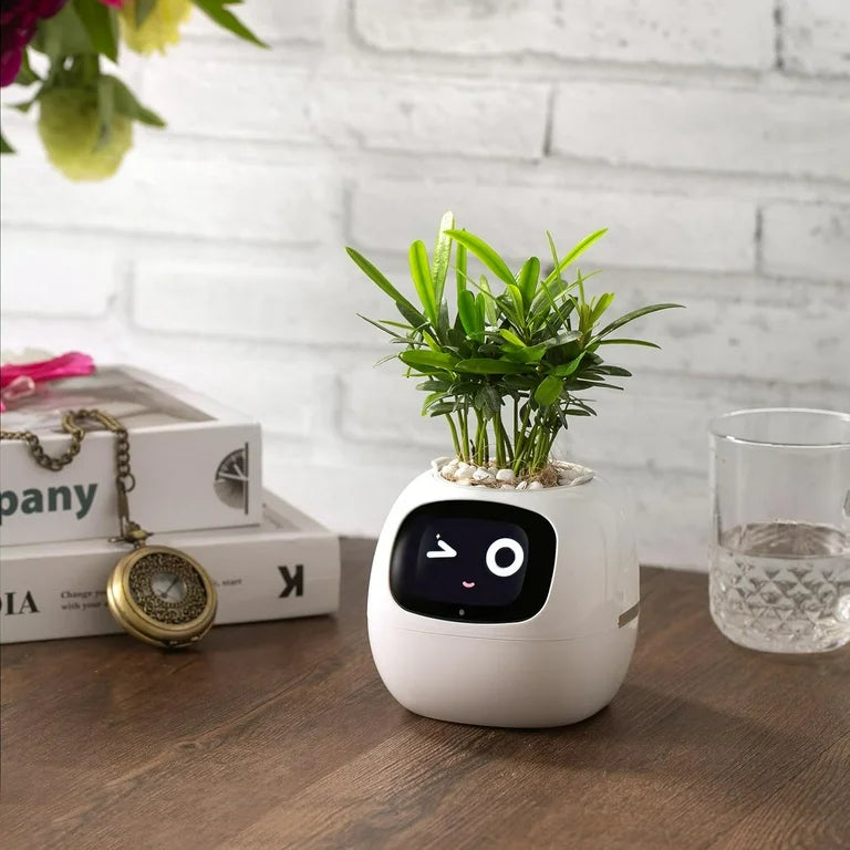 Smart Planter