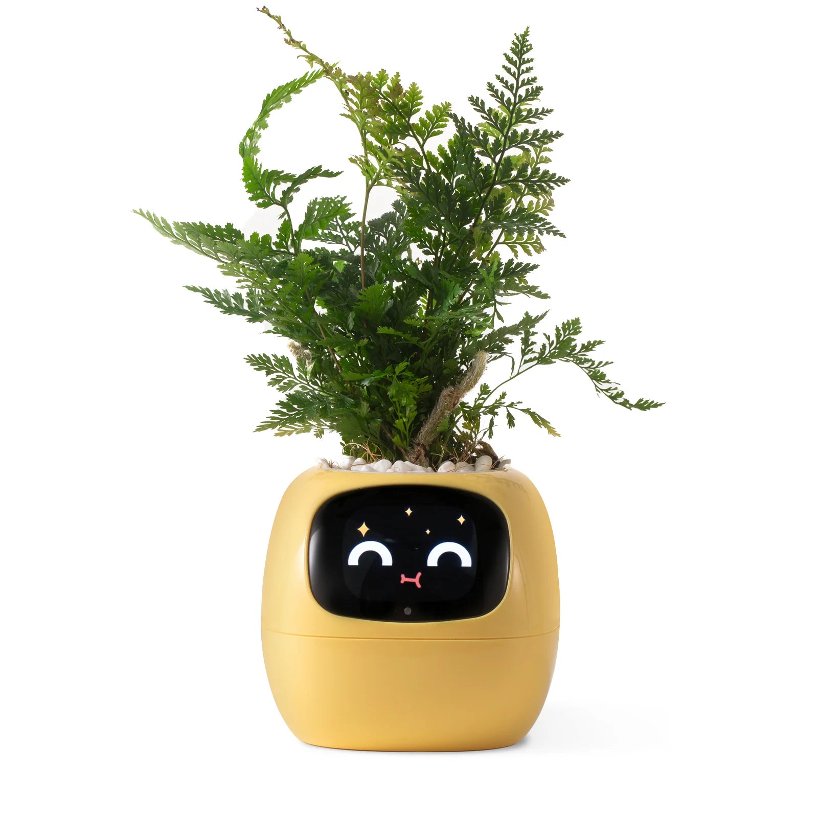 Smart Planter