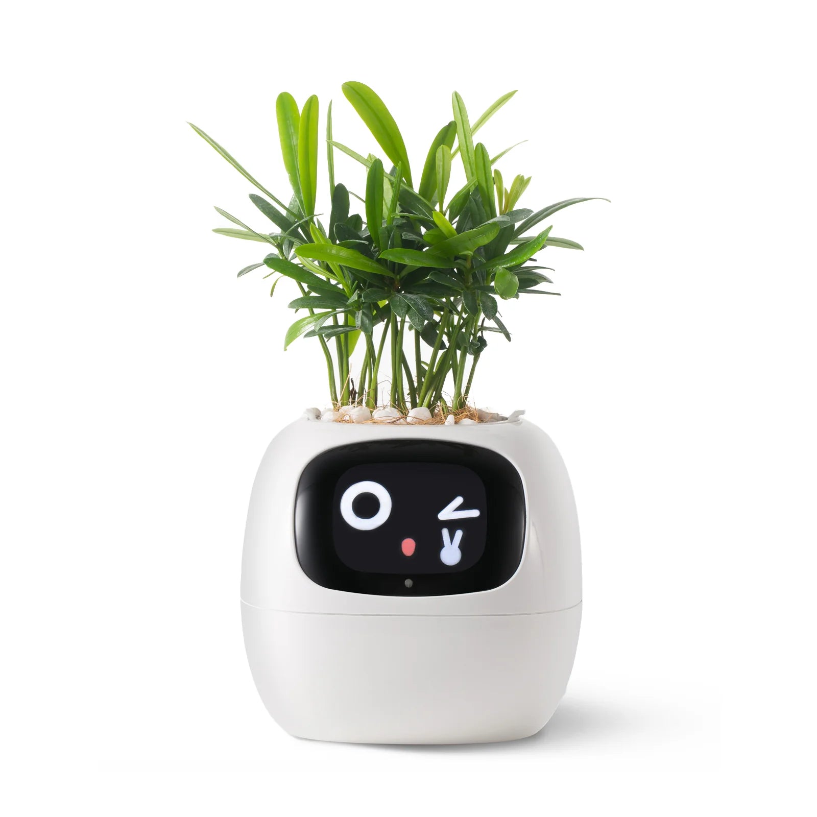 Smart Planter