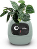 Smart Planter